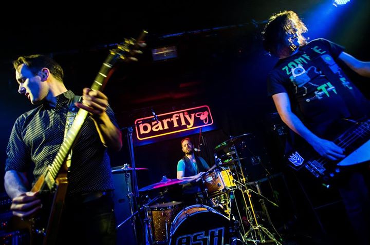 ashbarfly